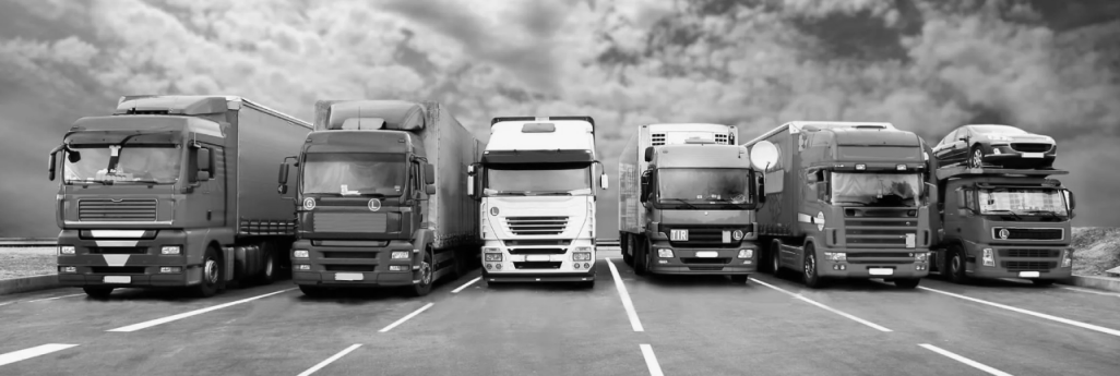 eu cargo trends